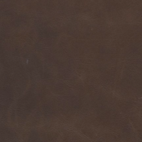 detail image