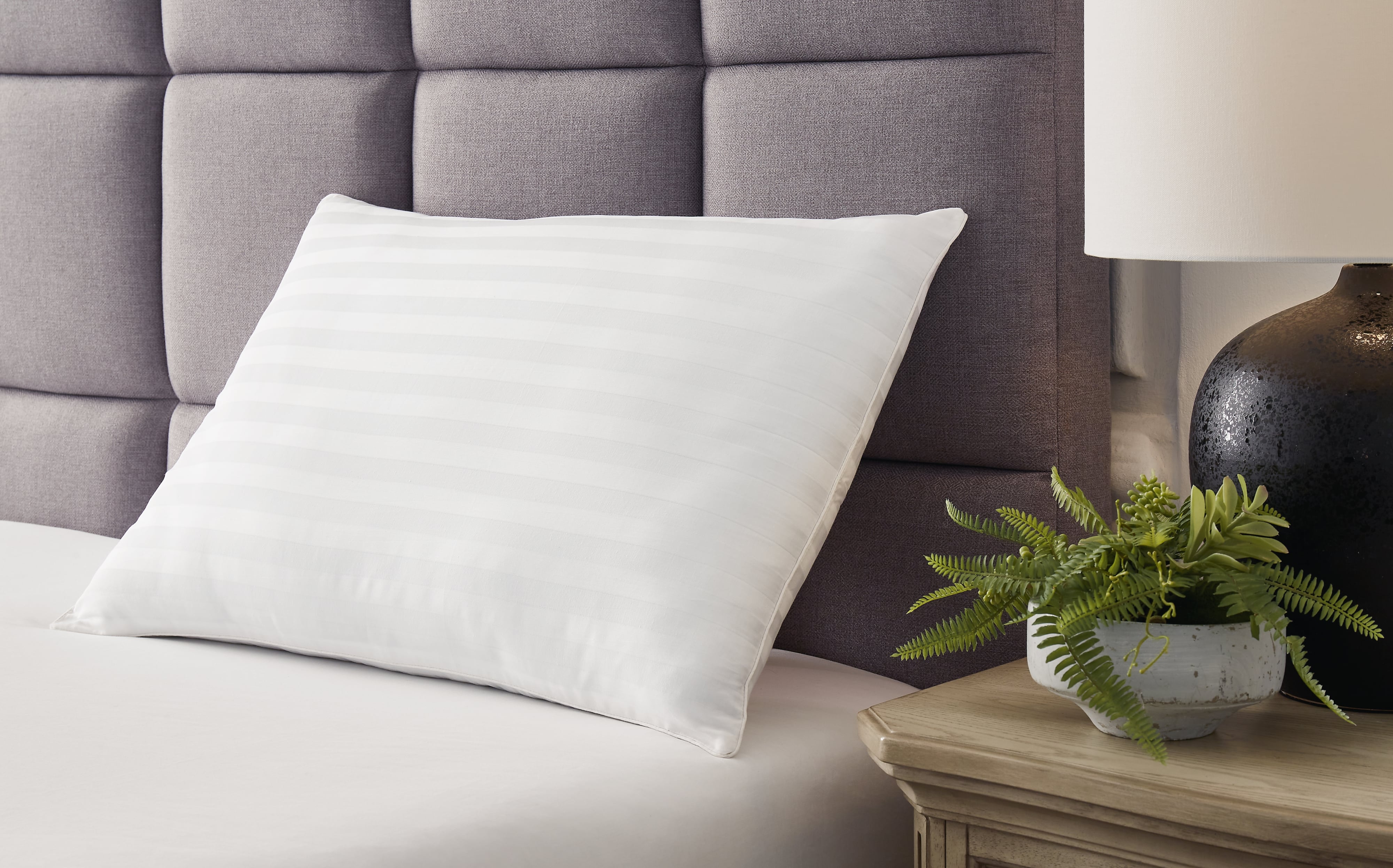 Cotton Pillow (Set Of 2)(9/Cs)