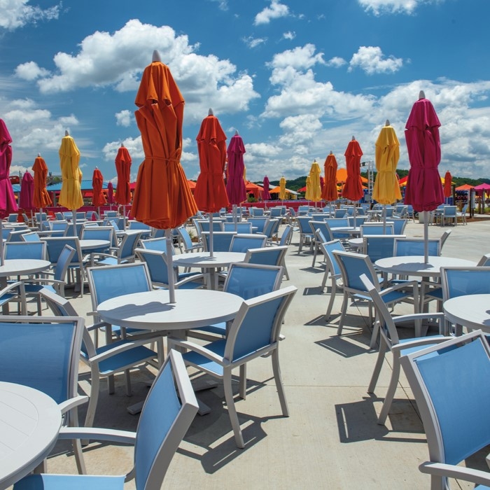 Collection Thumbnail