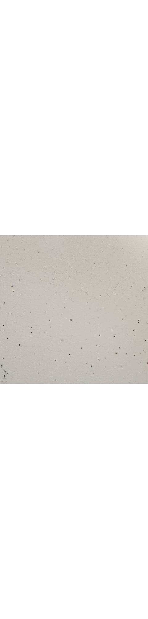 Signature Design by Ashley Arthrow Sculpture