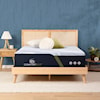 Serta Canada iComfort ECO F30LTX Firm Queen Mattress