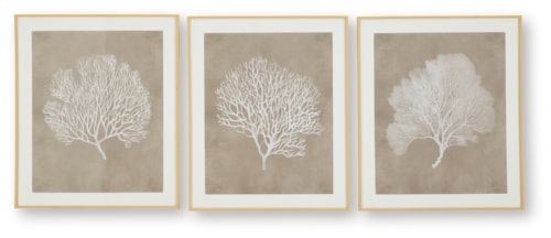 Wall Art (Set Of 3)