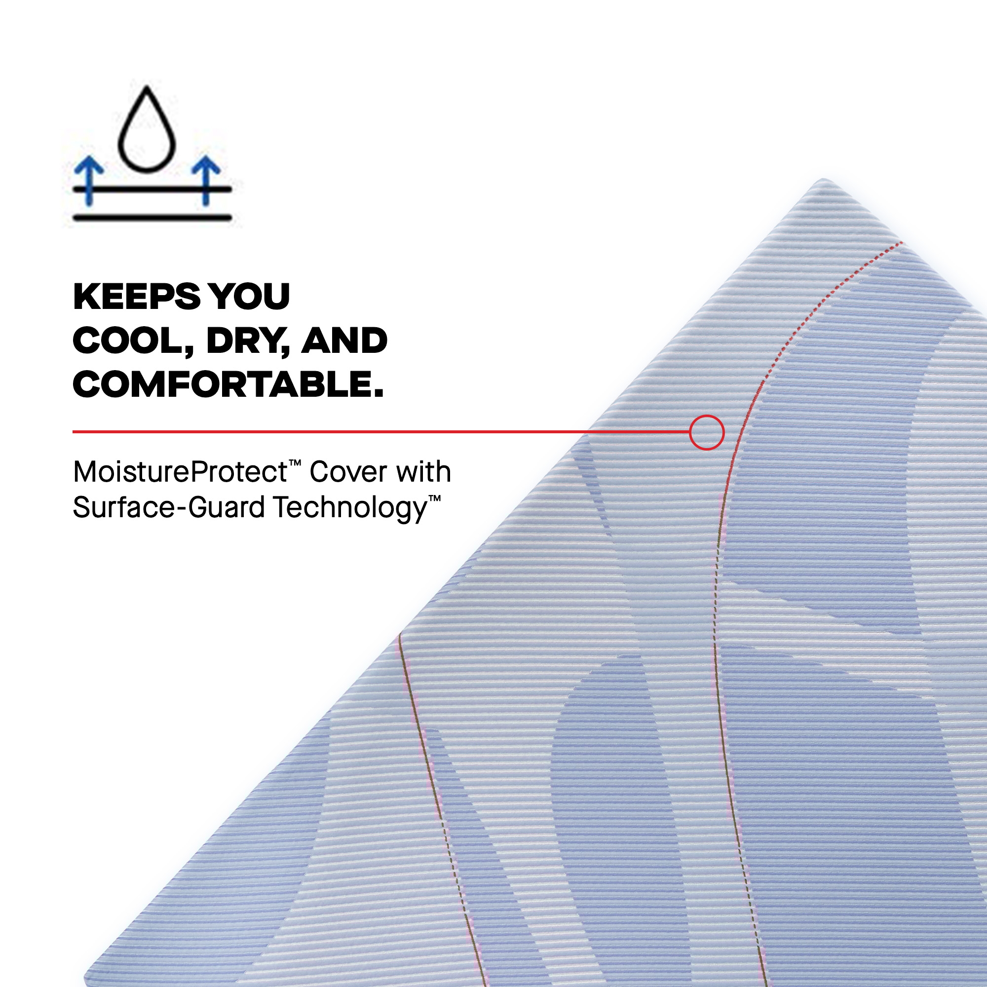 Sealy Posturepedic® Plus Hybrid Paterson II Medium Paterson II Medium Cal King