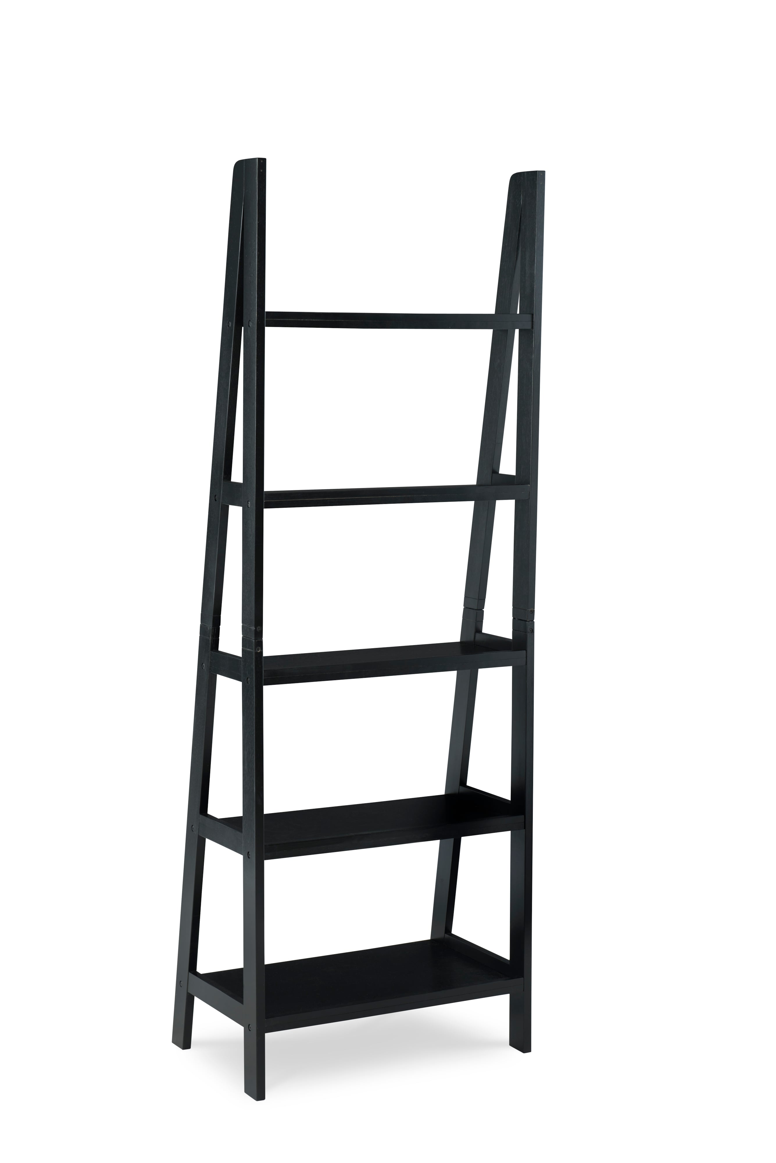 Ladder Bookshelf