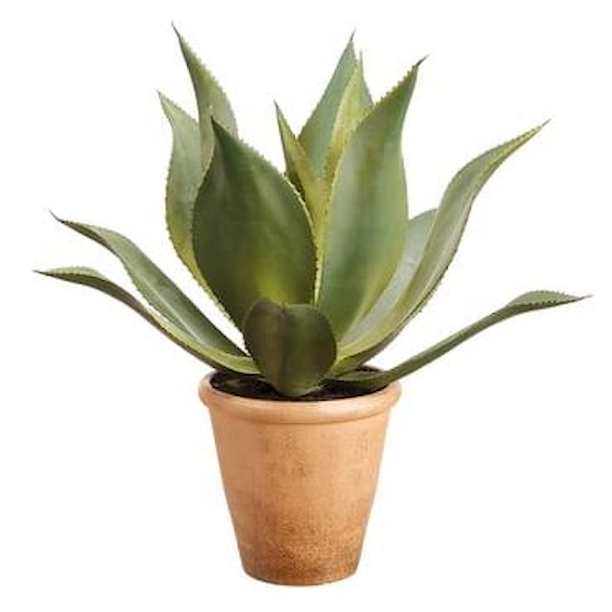 Allstate Floral Parade 22" GREEN AGAVE IN PAPER MACHE POT