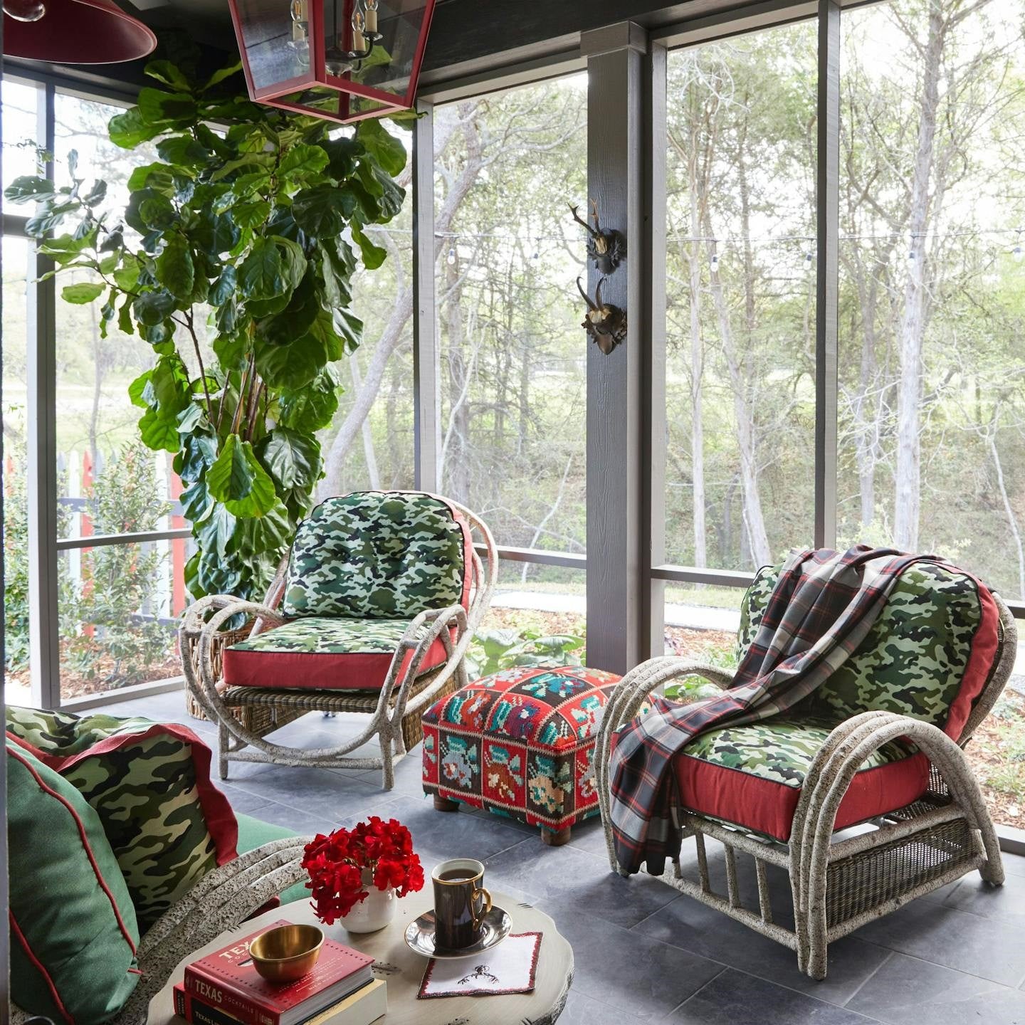 Collection Thumbnail