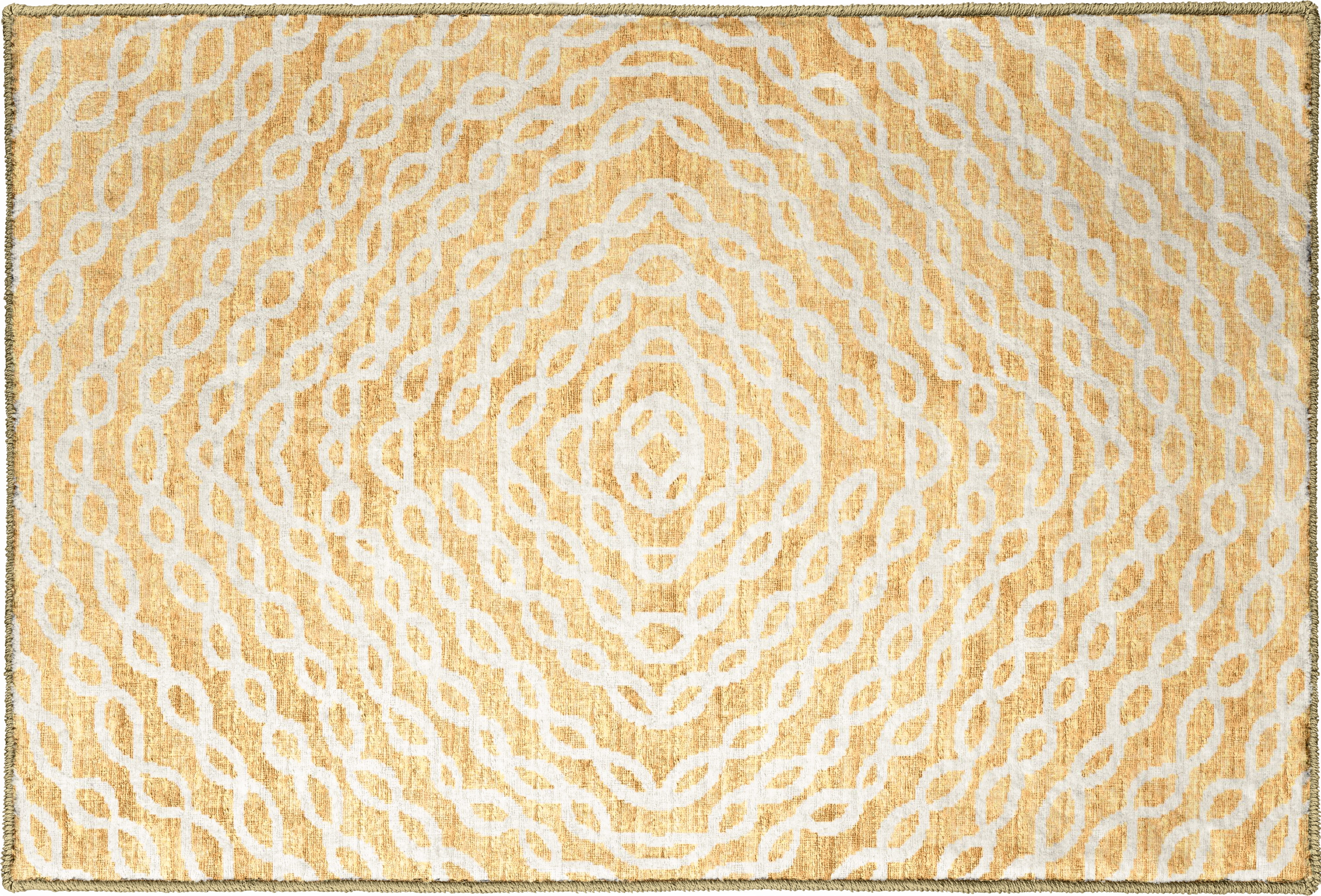 20" x 30" Rug