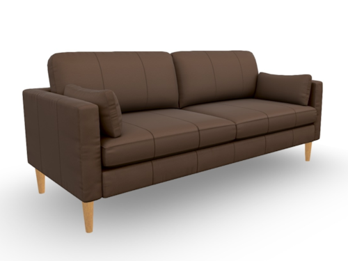 Mid-Century Modern Sofa with Two Pillows