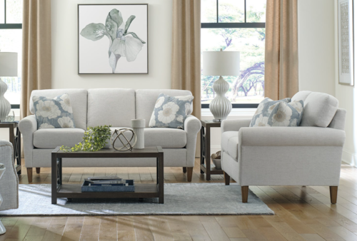 Transitional 2-Piece Living Room Set