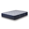 Serta Delani Meadows 12.5" Plush Tight Top Queen Plush Mattress