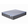 Jamison Bedding Autograph Chandler Springs Firm CHANDLER SPRINGS FIRM KING MATTRESS |