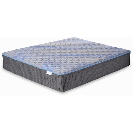 CHANDLER SPRINGS FIRM TWIN MATTRESS |