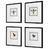 Uttermost Anthophila Anthophila Framed Prints S/4