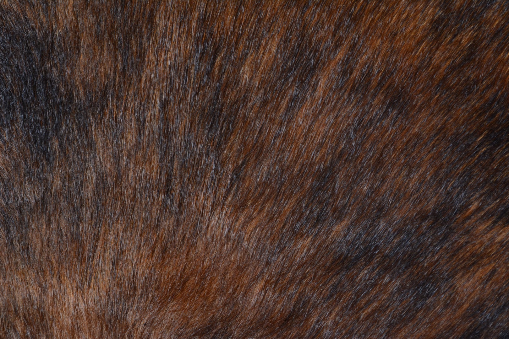 Horizon Home Horizon Home 2-Seat Loveseat