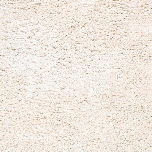 Surya Rugs Ashton 10' x 14' Rug