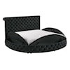 Crown Mark BRIGITTE Queen Upholstered Bed - Black