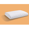 Bedgear Dri-Tec® King Wicking Waterproof Protect