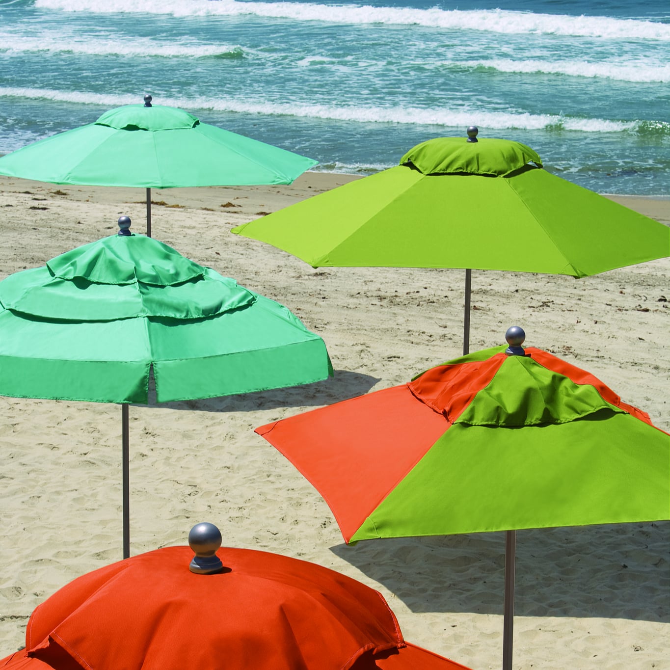 Collection Thumbnail