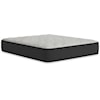 Sierra Sleep Palisades Plush California King Mattress