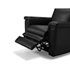 Palliser Asher Asher Wall Hugger Power Recliner