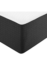 Modway Aveline 16" Memory Foam Queen Mattress