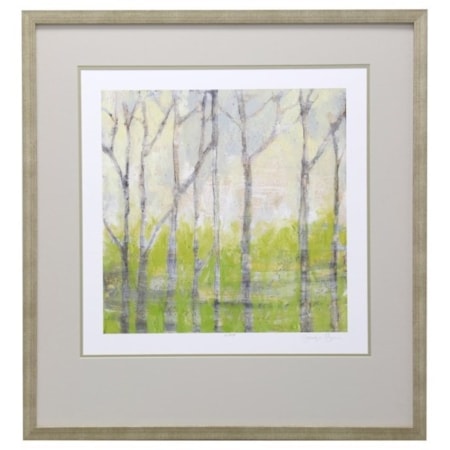 Birch Trees in Spring