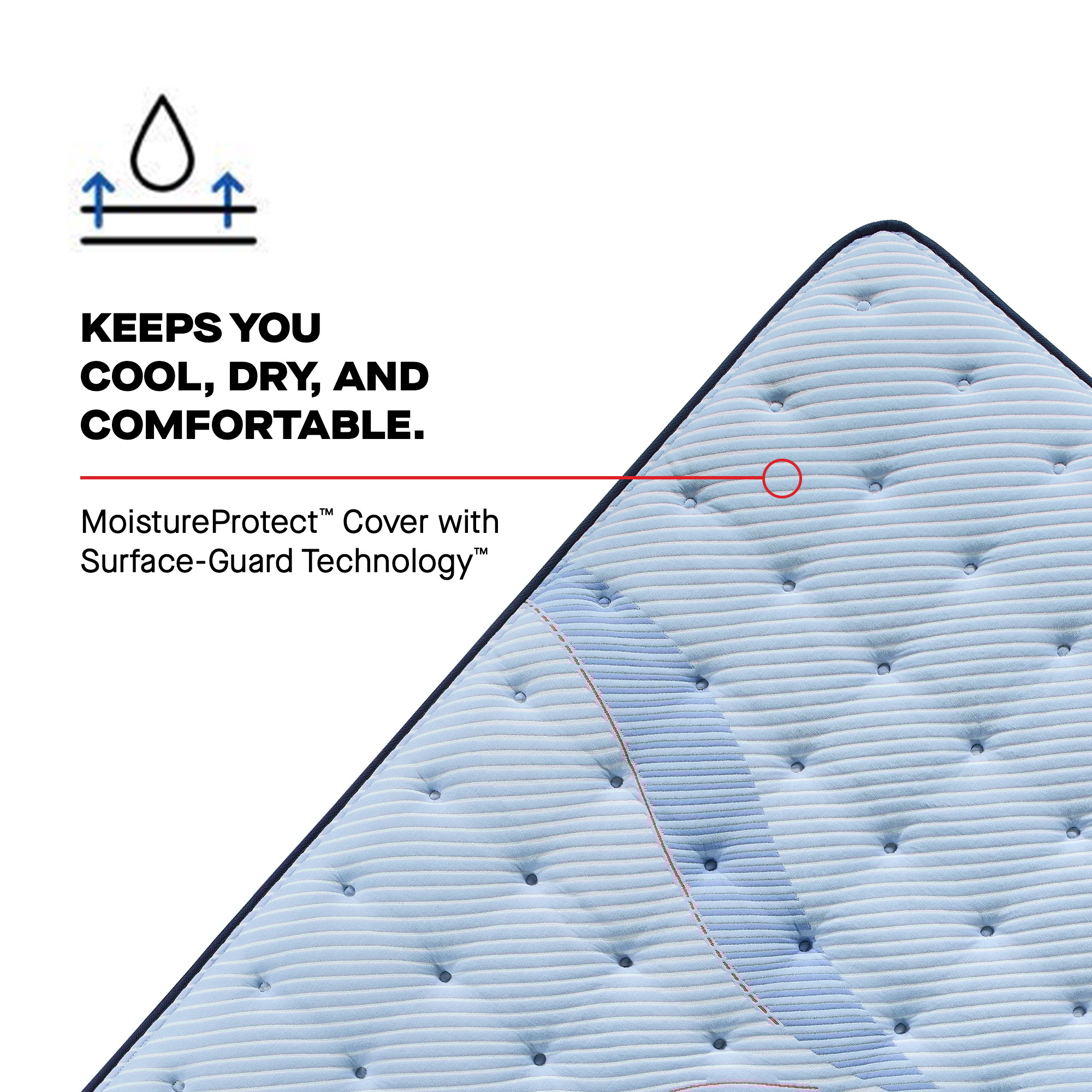 Sealy Posturepedic® Plus Keyport EPT Medium Keyport Euro Pillow Top Medium Full