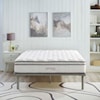 Modway Jenna 10" California King Mattress