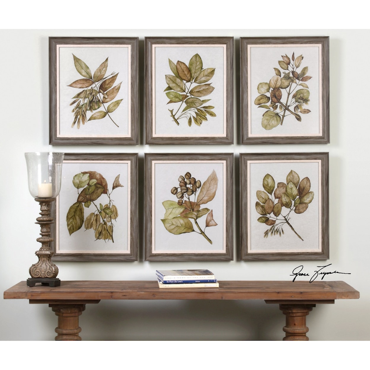 Uttermost Framed Prints Seedlings Framed Prints (Set of 6)