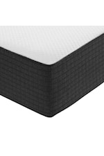 Modway Aveline Aveline 8" Twin XL Mattress