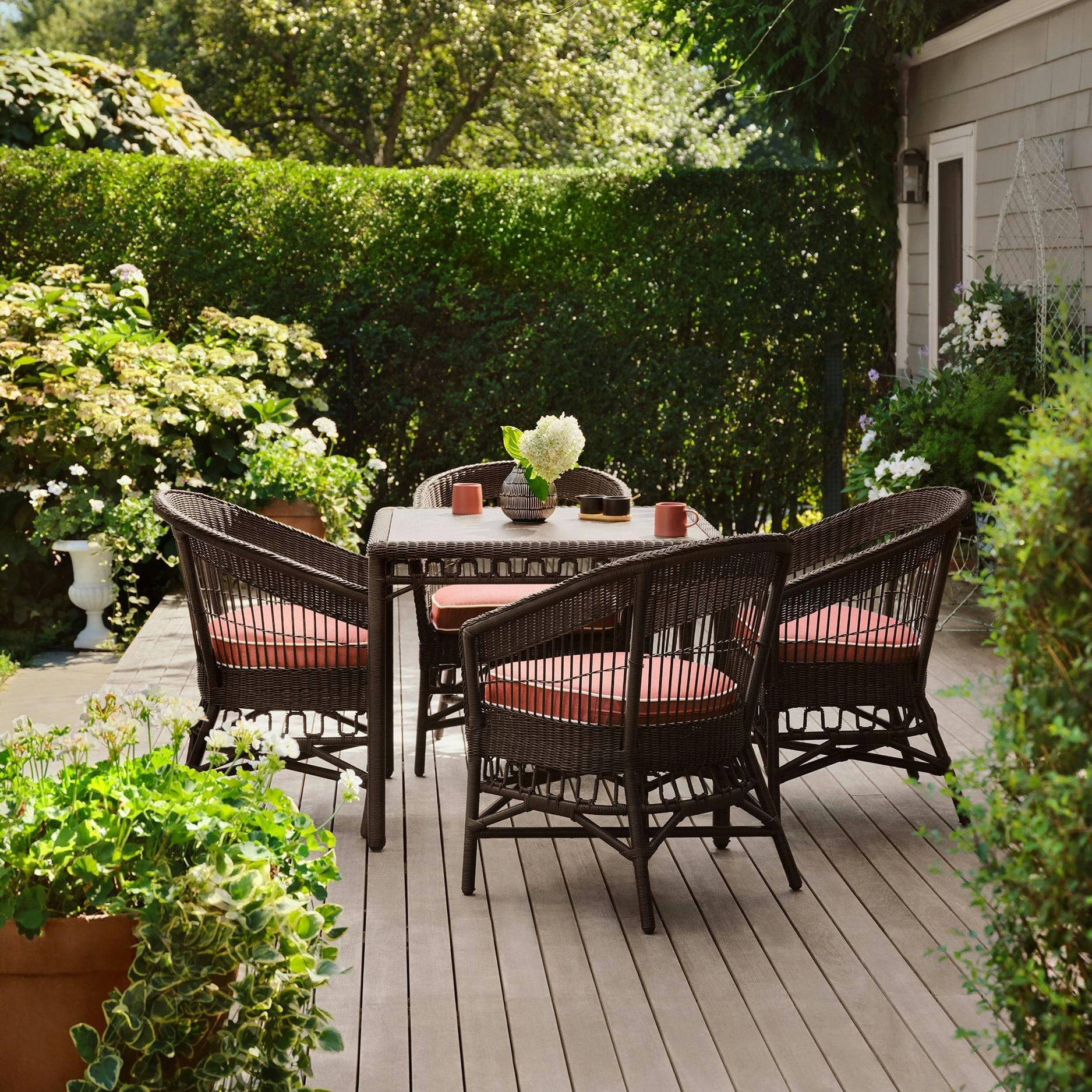 Collection Thumbnail