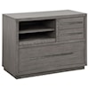 Paramount Furniture Pure Modern Functional File