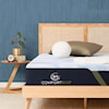 Serta Canada iComfort F10 Medium Queen Medium Foam Mattress