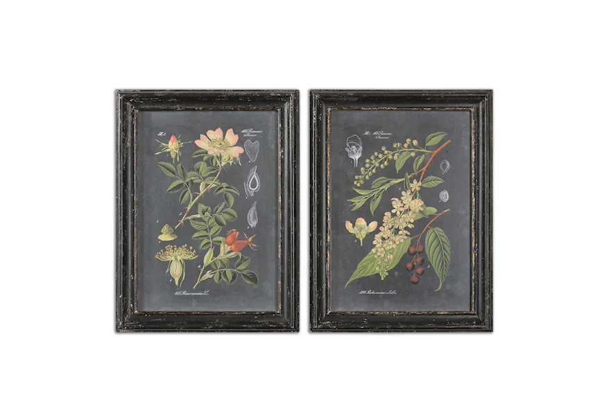Framed Prints Midnight Botanicals Framed Prints, Set of 2 by Uttermost at Mueller Furniture