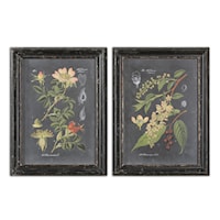 Midnight Botanicals Framed Prints, Set of 2