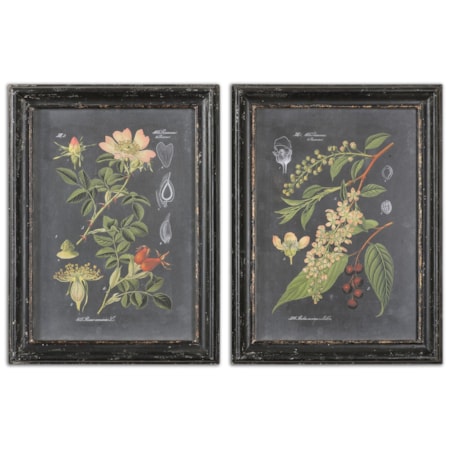 Midnight Botanicals Framed Prints, Set of 2