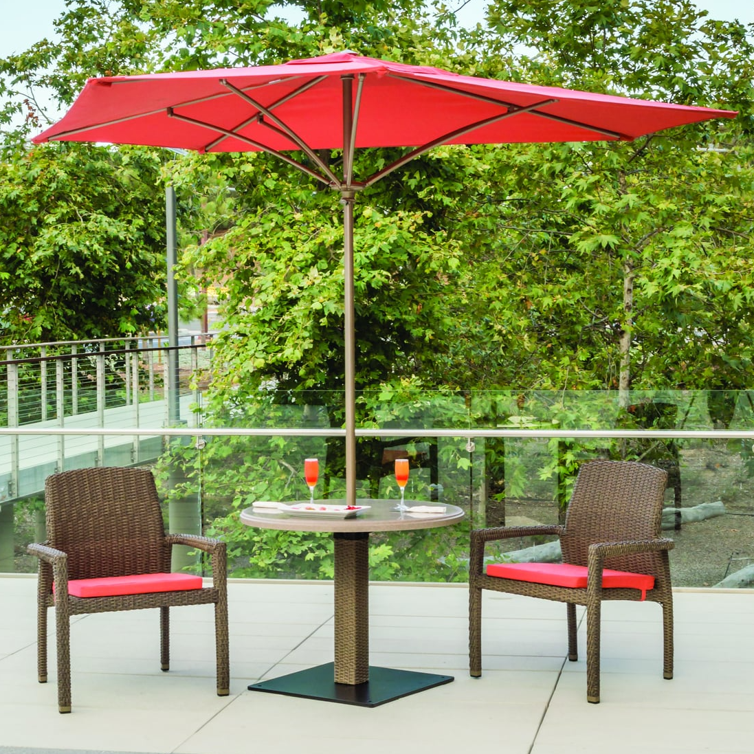 Collection Thumbnail