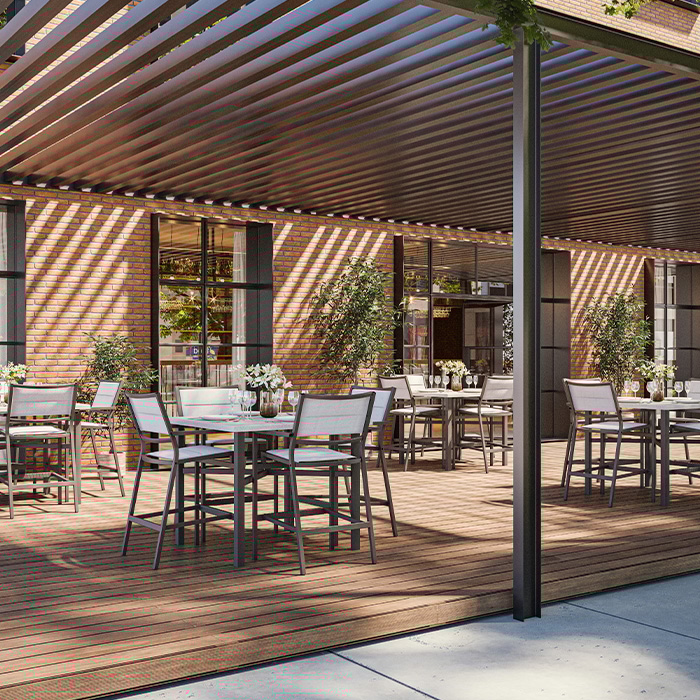 Collection Thumbnail