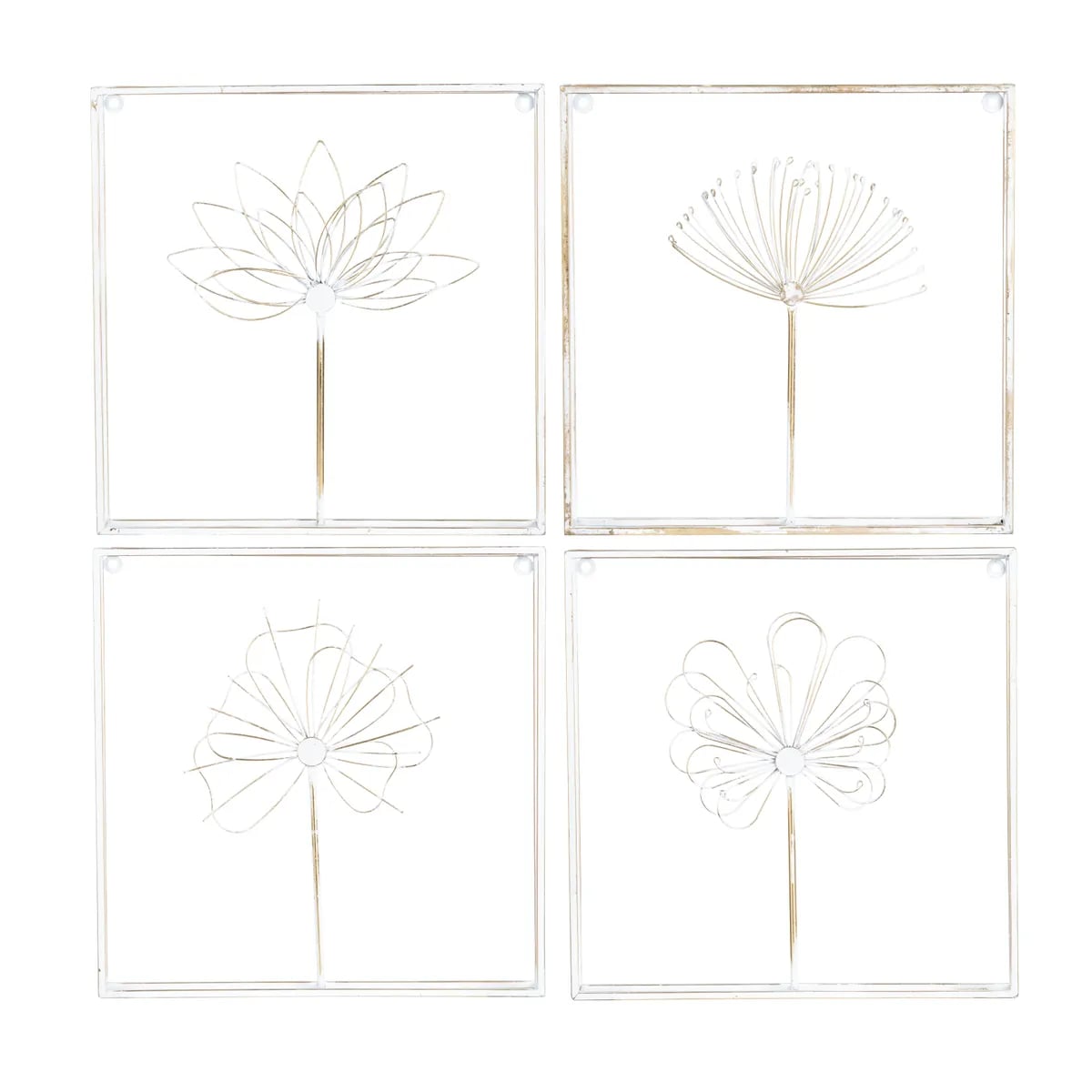 Collection Thumbnail