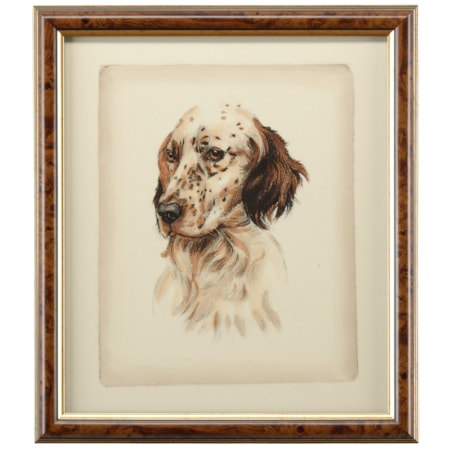 Danchin Brittany Spaniel