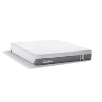 King 10" Cloud Medium Mattress