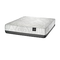 Queen Medium Hybrid Mattress