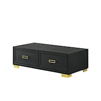 Pepe Contemporary 2-Drawer Storage Coffee Table