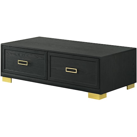 Pepe Contemporary 2-Drawer Storage Coffee Table