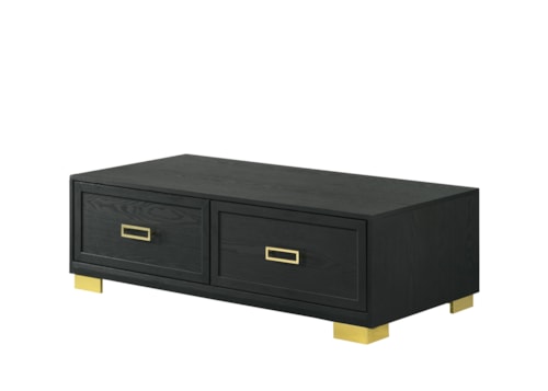 Pepe Contemporary 2-Drawer Storage Coffee Table