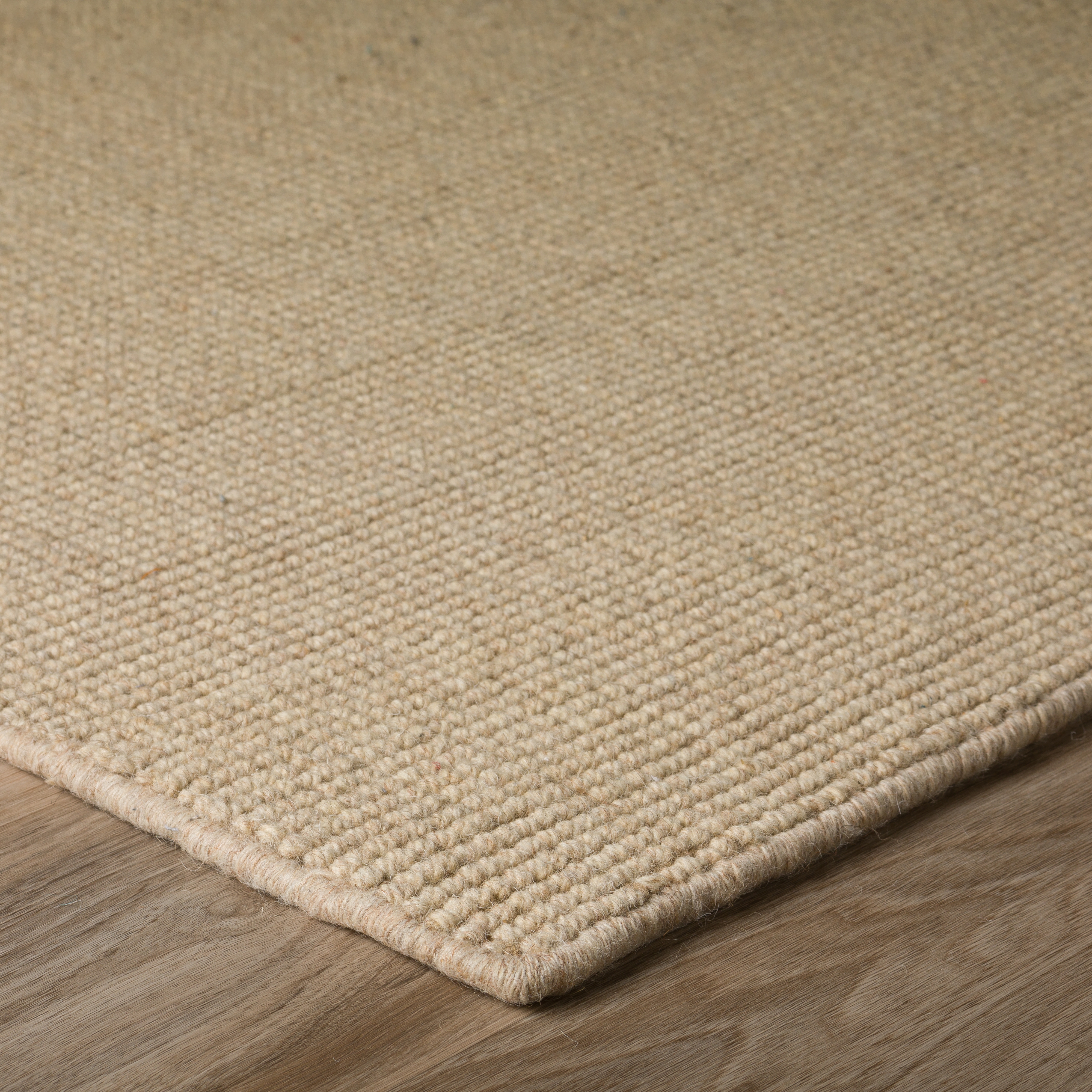 Oatmeal 2'3" x 8' Rug