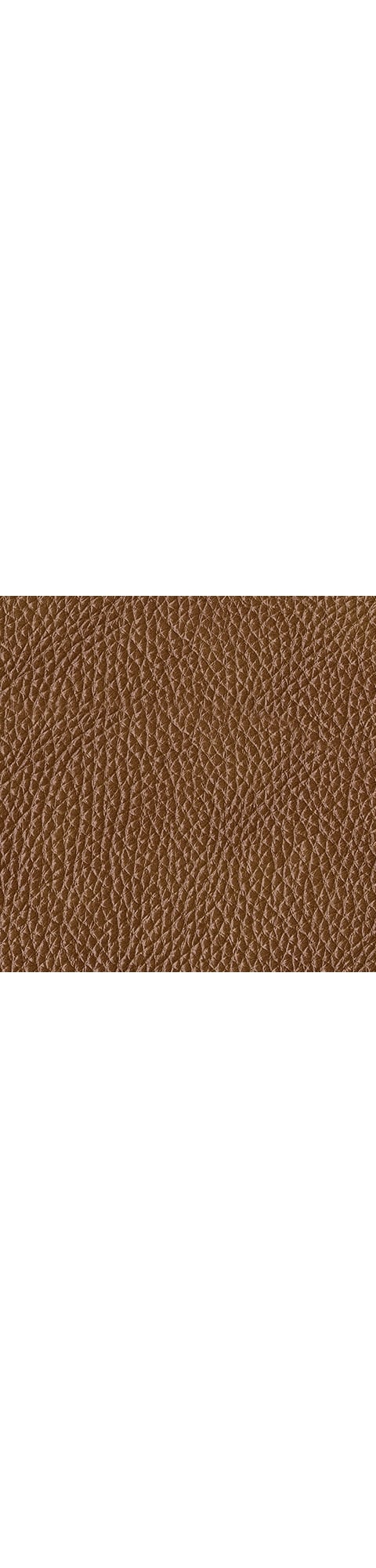 Reclining Sectional Sofa