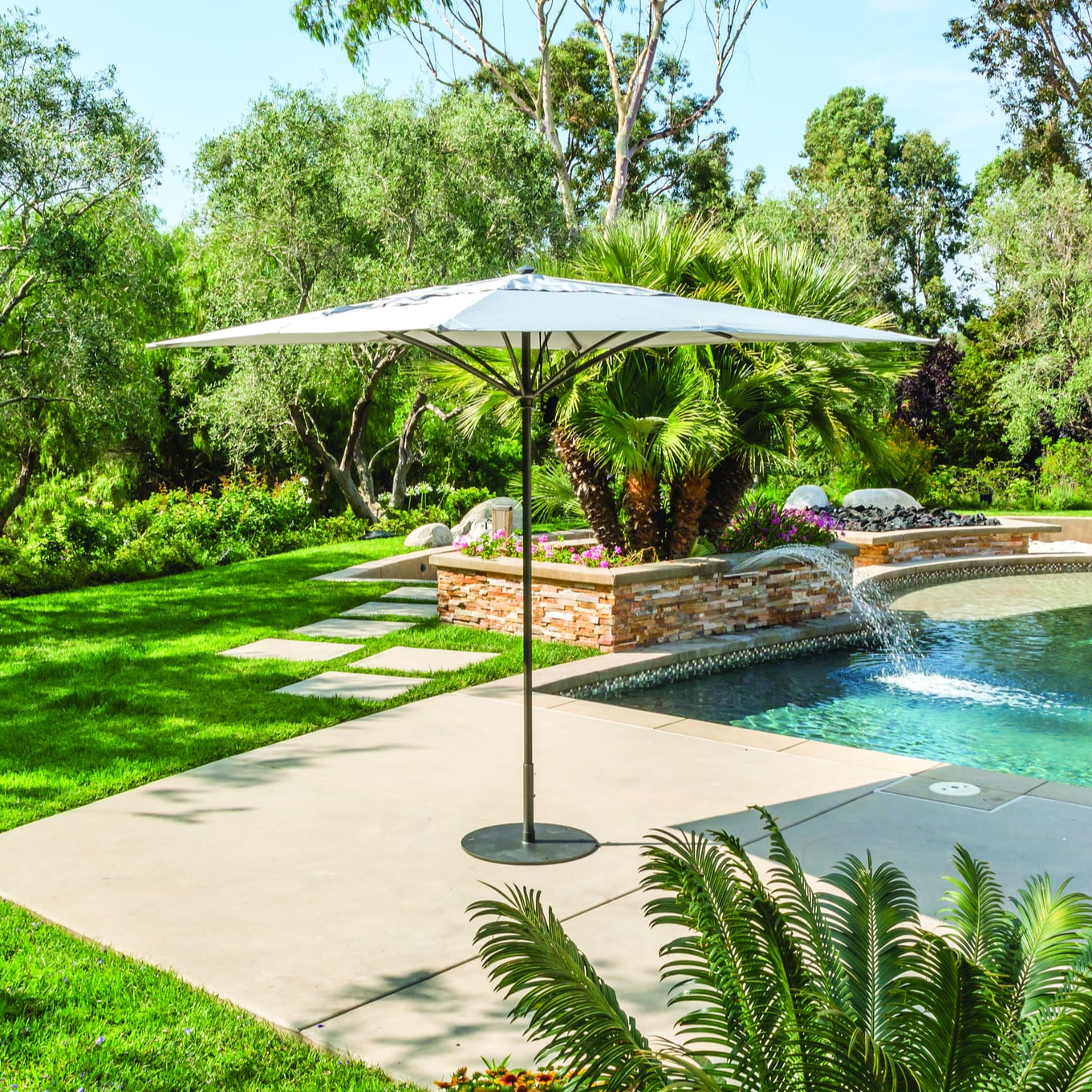 Collection Thumbnail