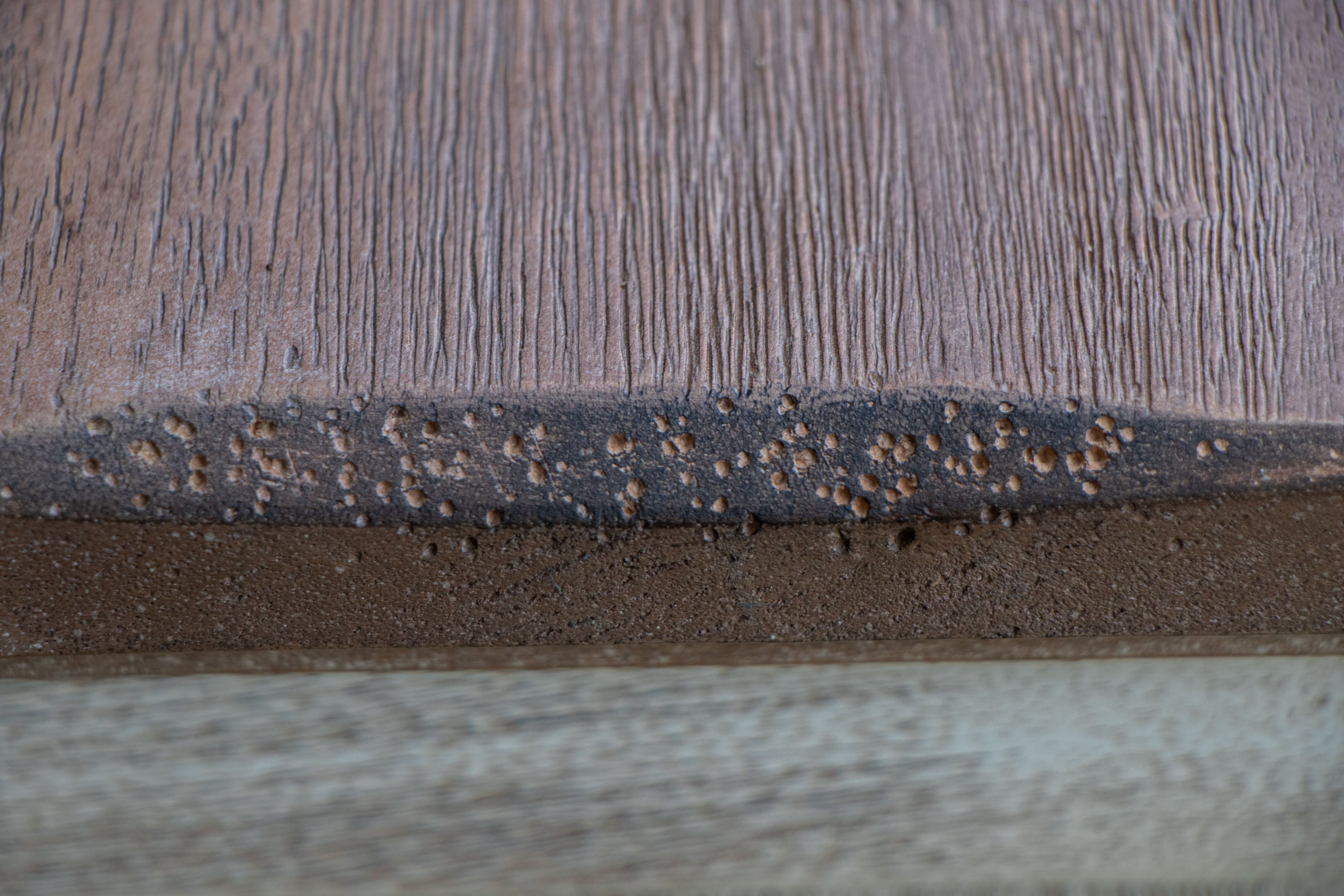 International Furniture Direct Sahara TV Stand