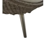 Bernhardt Bernhardt Exteriors Woven Papasan Outdoor Sofa w/Kidney Pillows